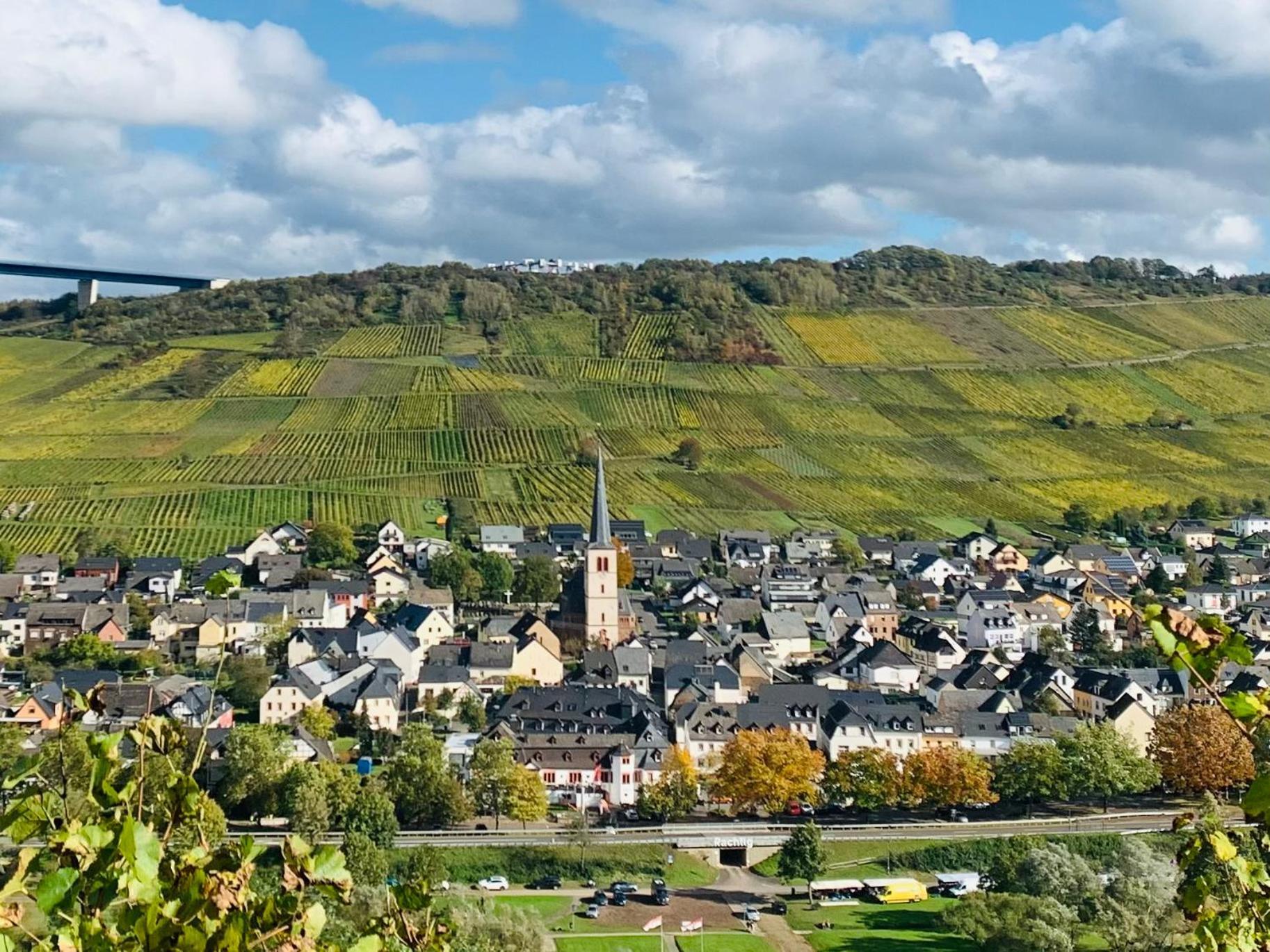 Weinhof Michael Morbach Hotel เซลทิงเงน-อาคทิก ภายนอก รูปภาพ